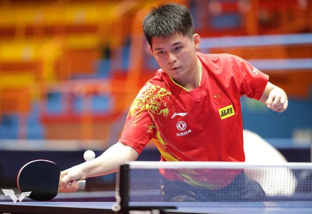 会避险的选 会避险的选